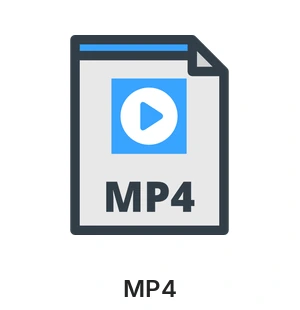 MP4
