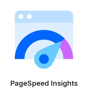 PageSpeed Insights